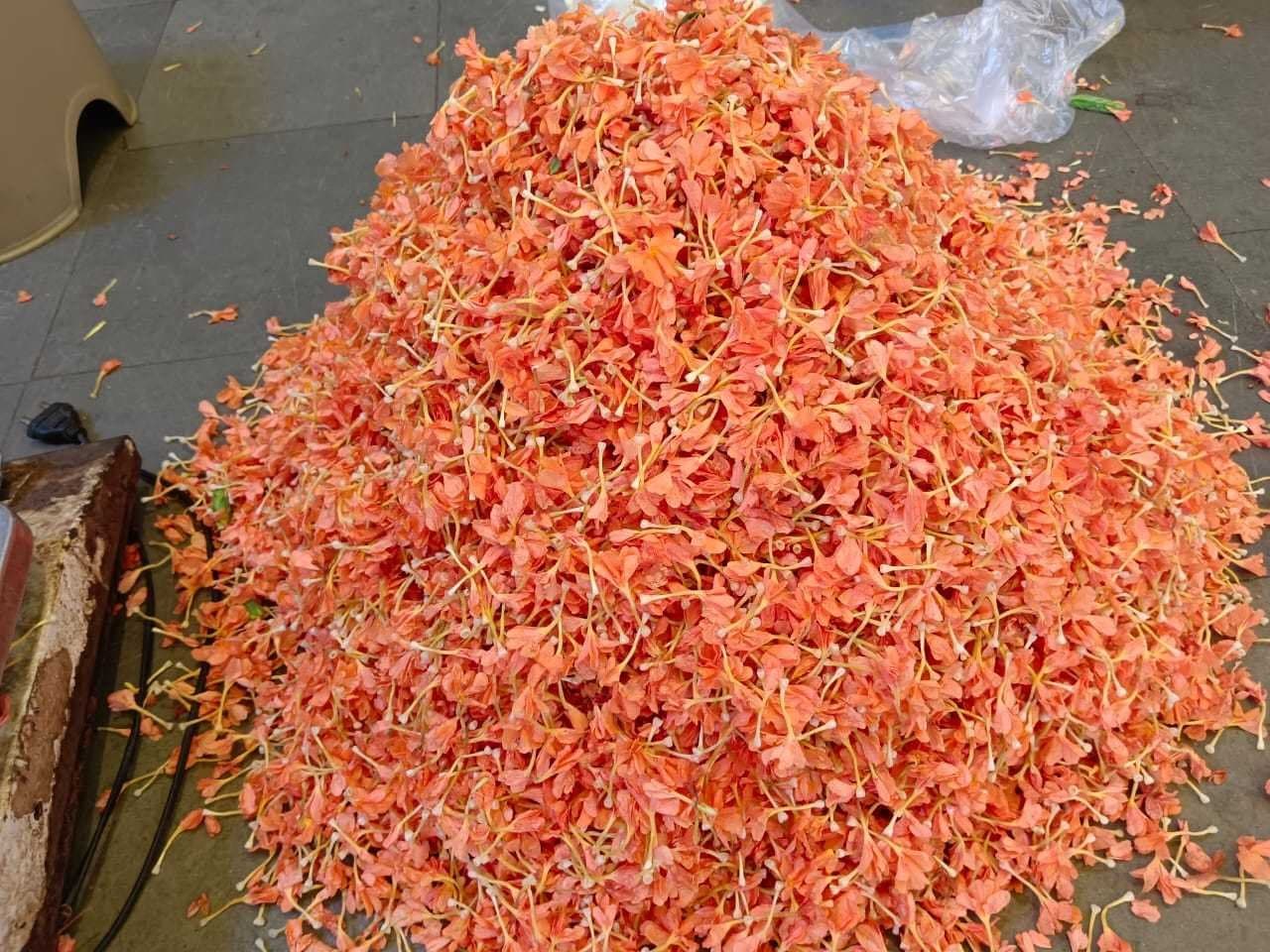 Kanakambaram Flowers