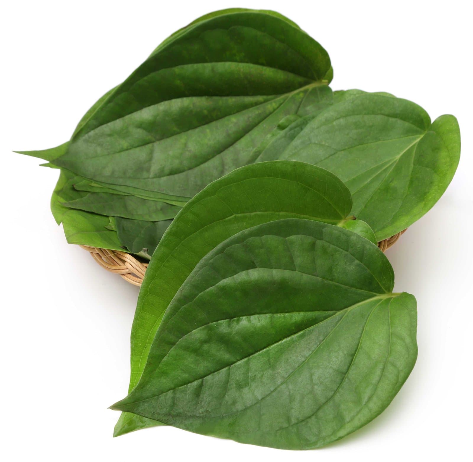 Betel leaves