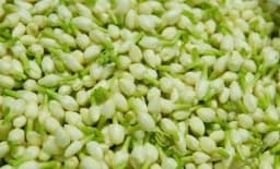 Mallelu Flowers 1