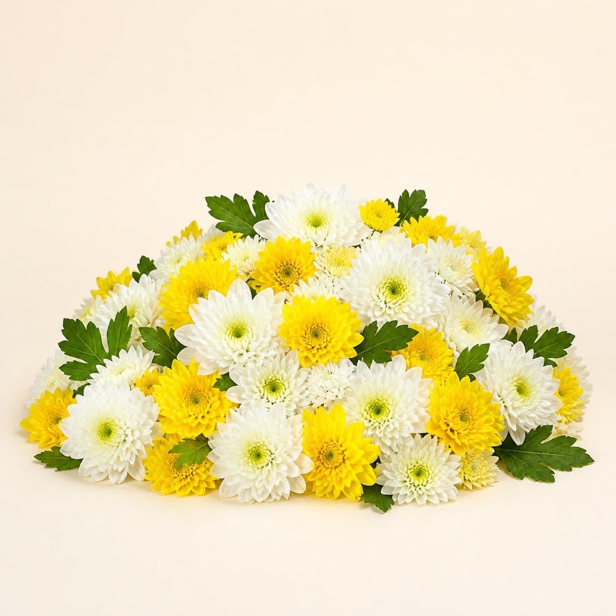 Chamanthi Flowers