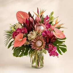 Imported / Exotic Flowers 1