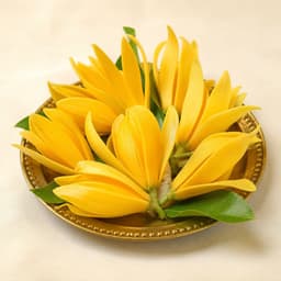 Sampangi Flowers 3