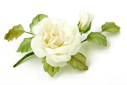 White Rojes 1