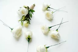 White Rojes 3