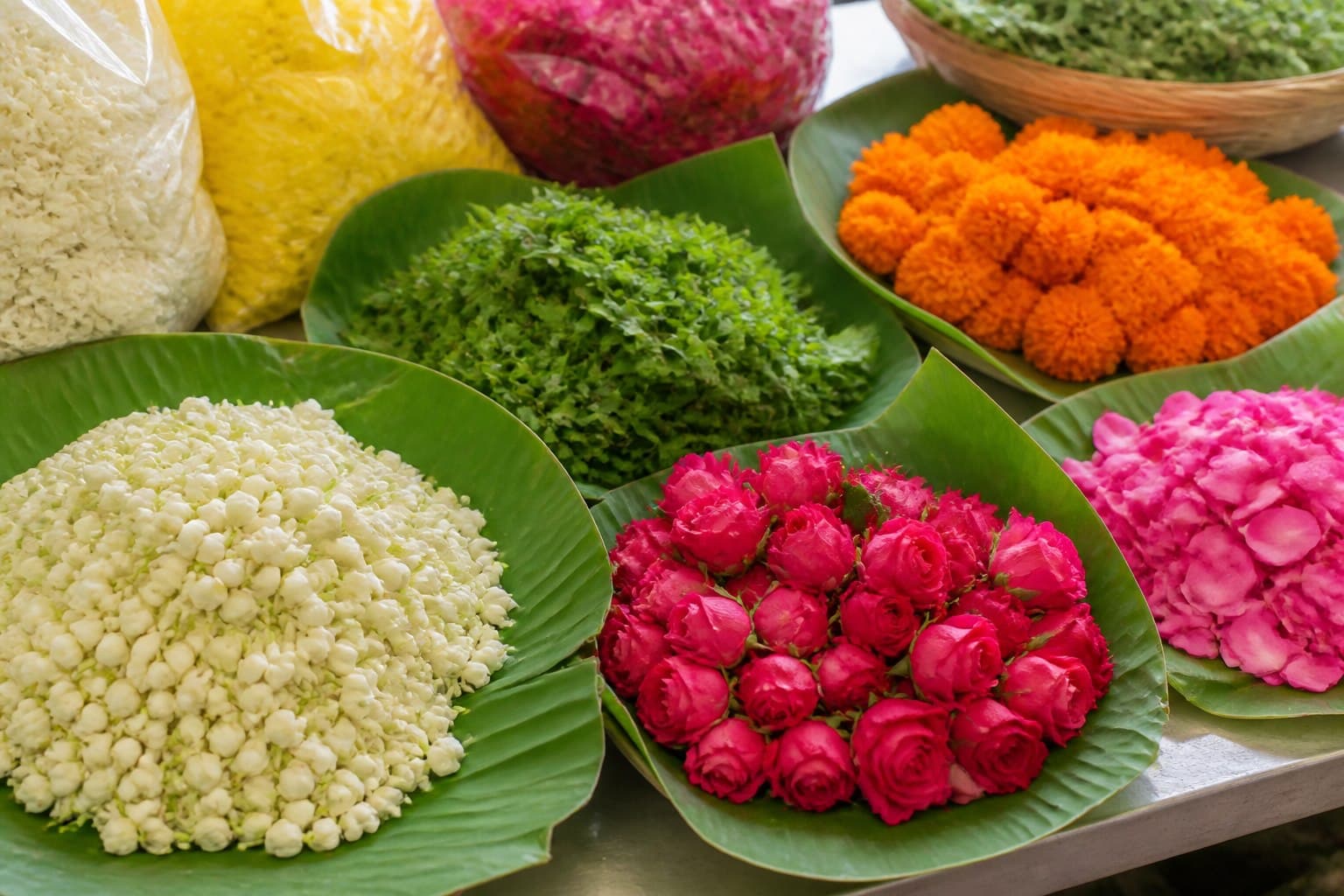 Manidvipa flowers gallery 6